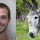 Illustration for article titled I Like the Way the Fur Feels: One Mans Impassioned Defense of Donkey-Rape